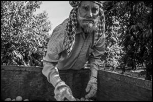 In Camps, Under Trees and Evicted: Farmworkers and People Living Close to the Line in Northern California